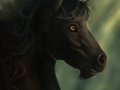 1359950745.mondeis_pn0yunicorn.jpg